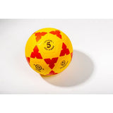 Minge fotbal nr. 5 - antrenament