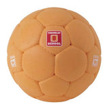 Minge handbal CT, antrenament