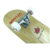 Skateboard Top Board 31"