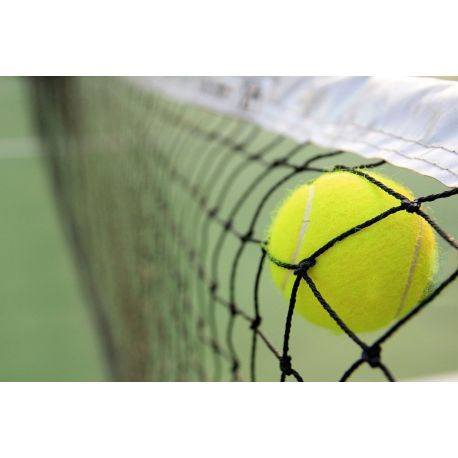Fileu tenis regulamentar - fir 3.5 mm
